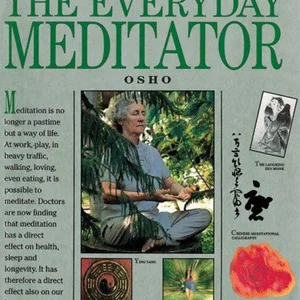 The Everyday Meditator