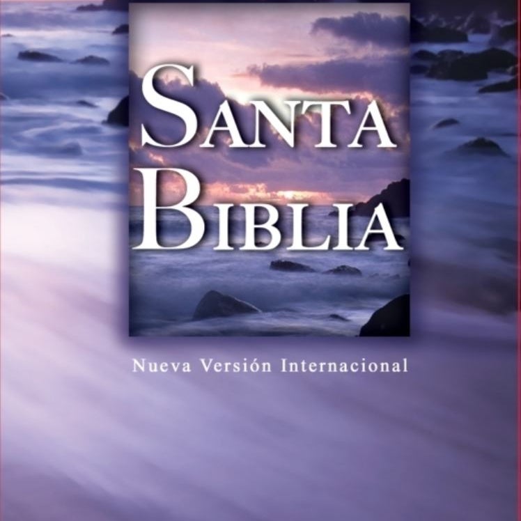 Nvi Spanish Pew Bible - Beach Scene