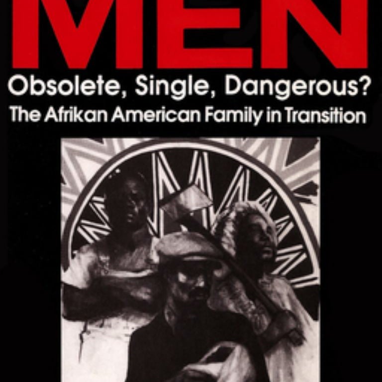 Black Men, Obsolete, Single, Dangerous?