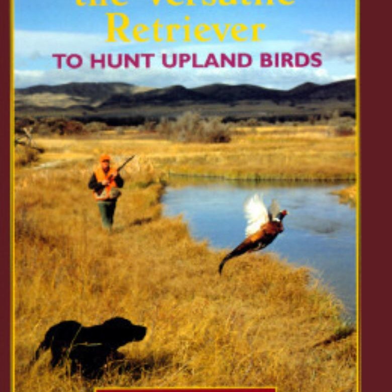 Training the Versatile Retriever to Hunt Upland Birds