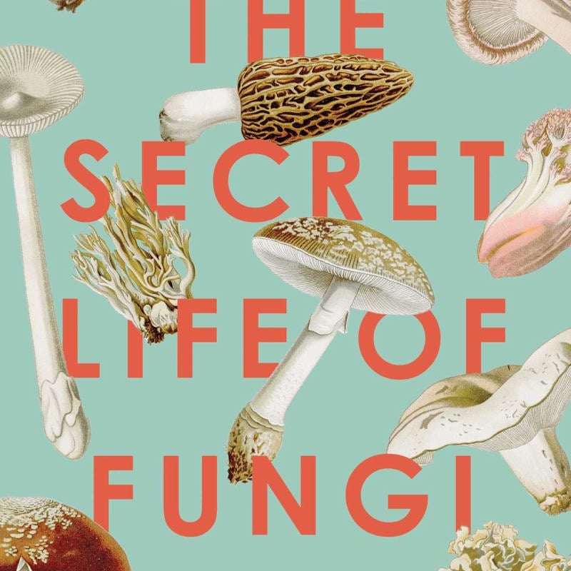 The Secret Life of Fungi