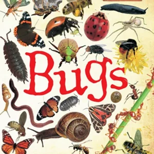 Bugs