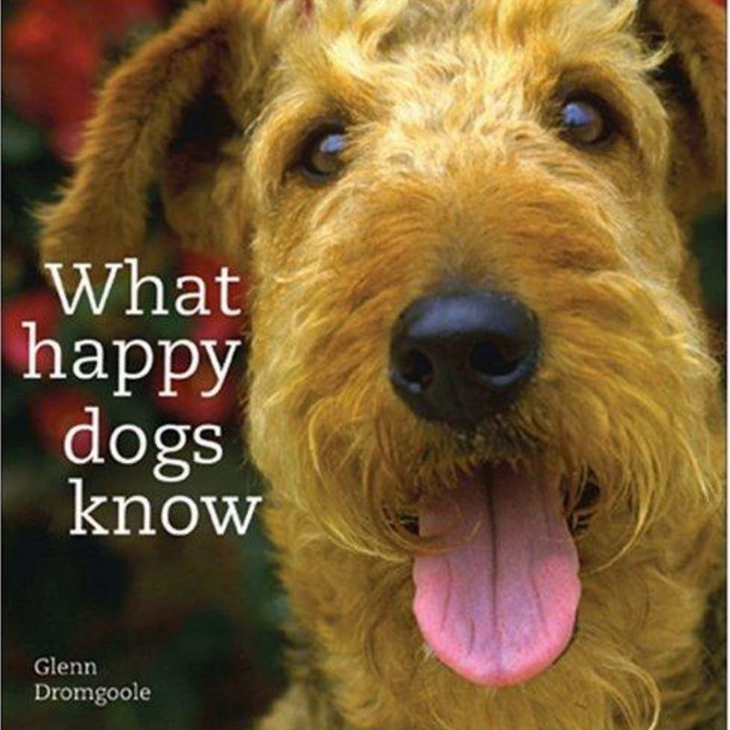 What Happy Dogs Know