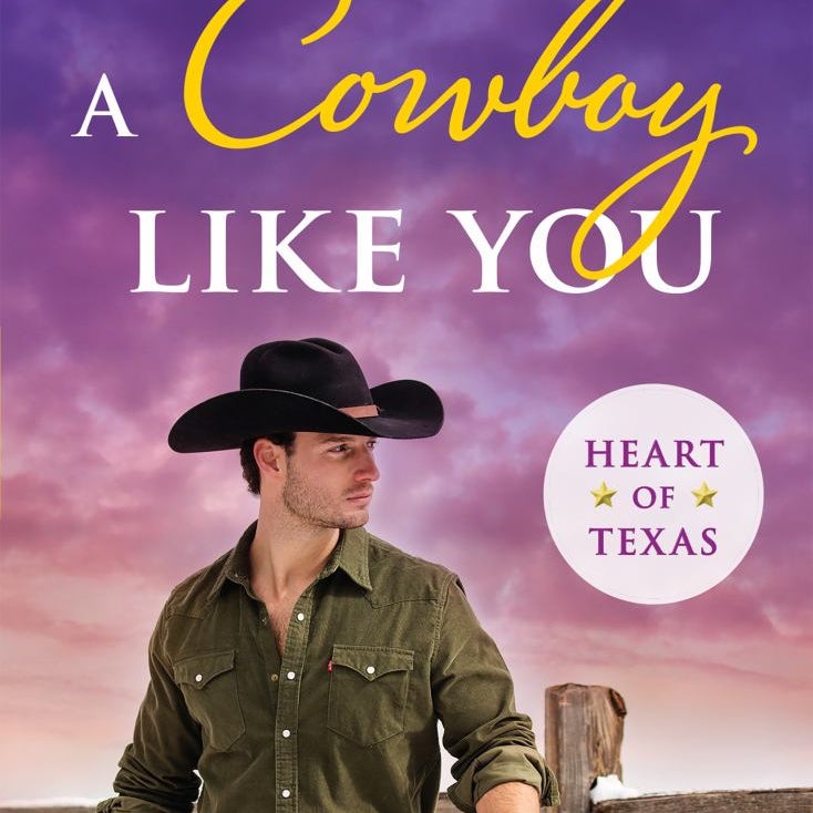 A Cowboy Like You