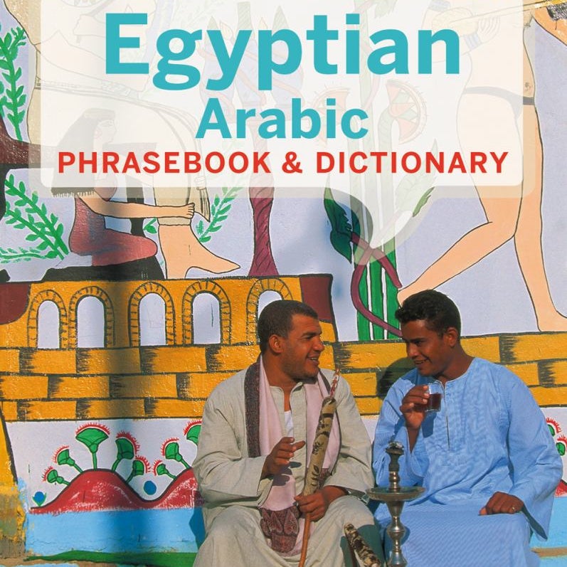 Lonely Planet Egyptian Arabic Phrasebook and Dictionary 4