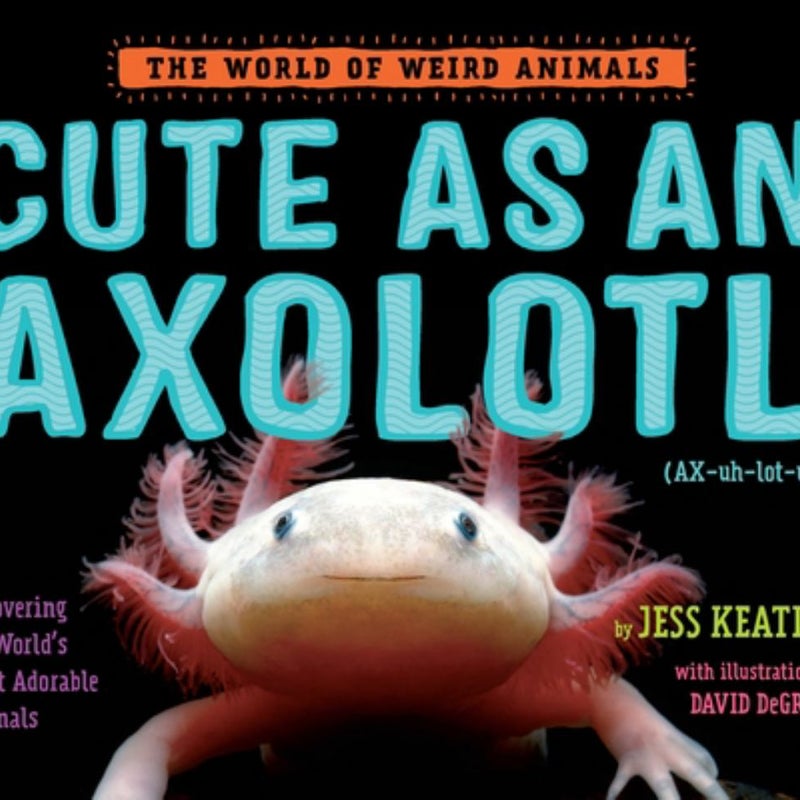 Cute As an Axolotl