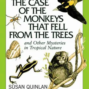 Case of the Monkeys That Fell from the Trees