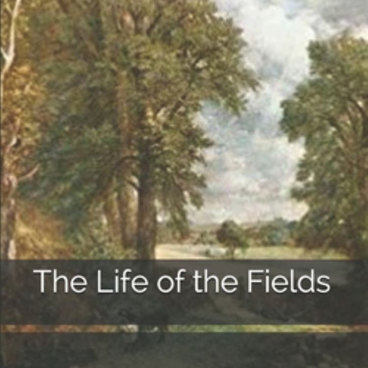 The Life of the Fields