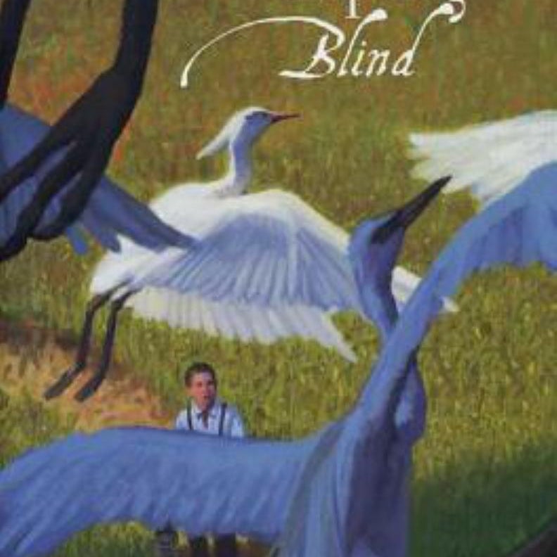 Flying Blind