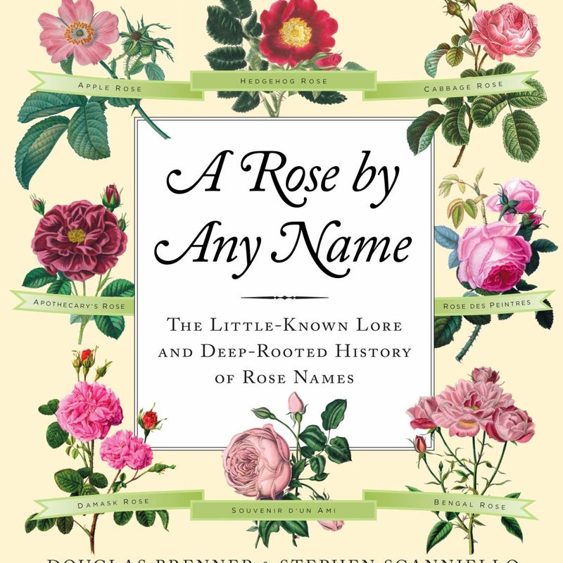 A Rose by Any Name