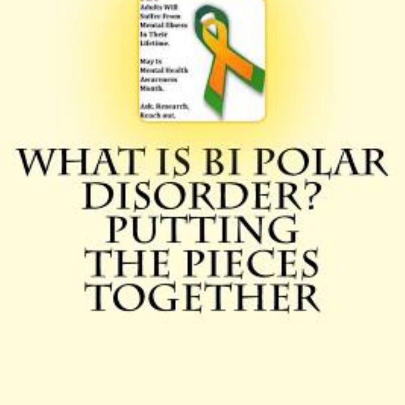 What Is Bi Polar Disorder? Putting the Pieces Together