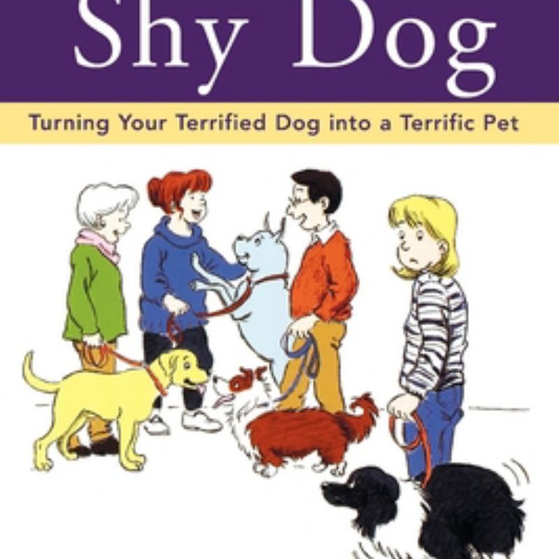 Help for Your Shy Dog