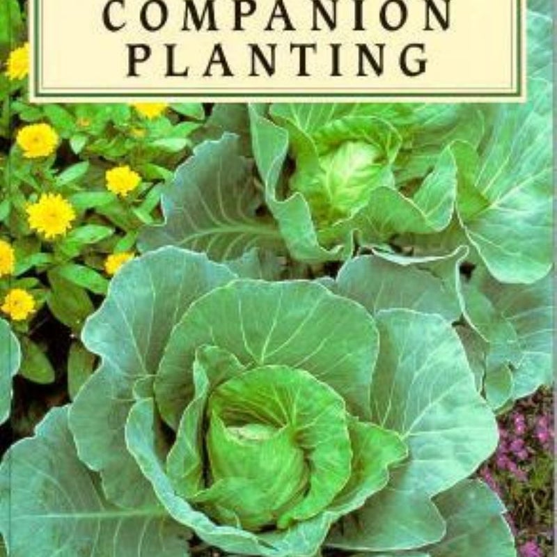 Companion Planting