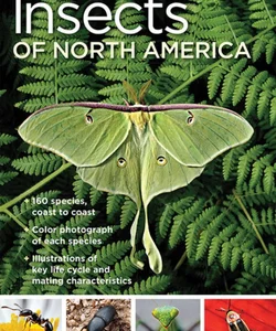 National Geographic Pocket Guide to Insects of North America