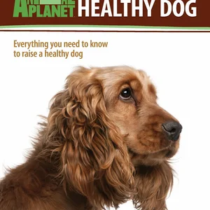 Complete Guide to a Healthy Dog