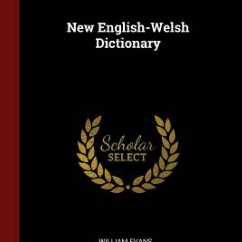 New English-Welsh Dictionary