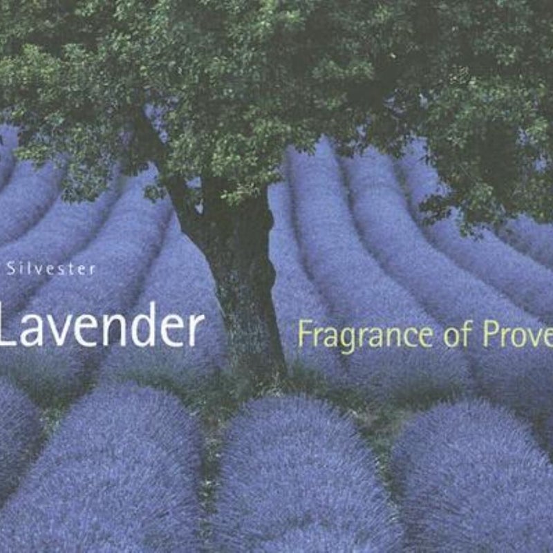 Lavender