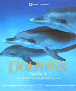 Dolphins