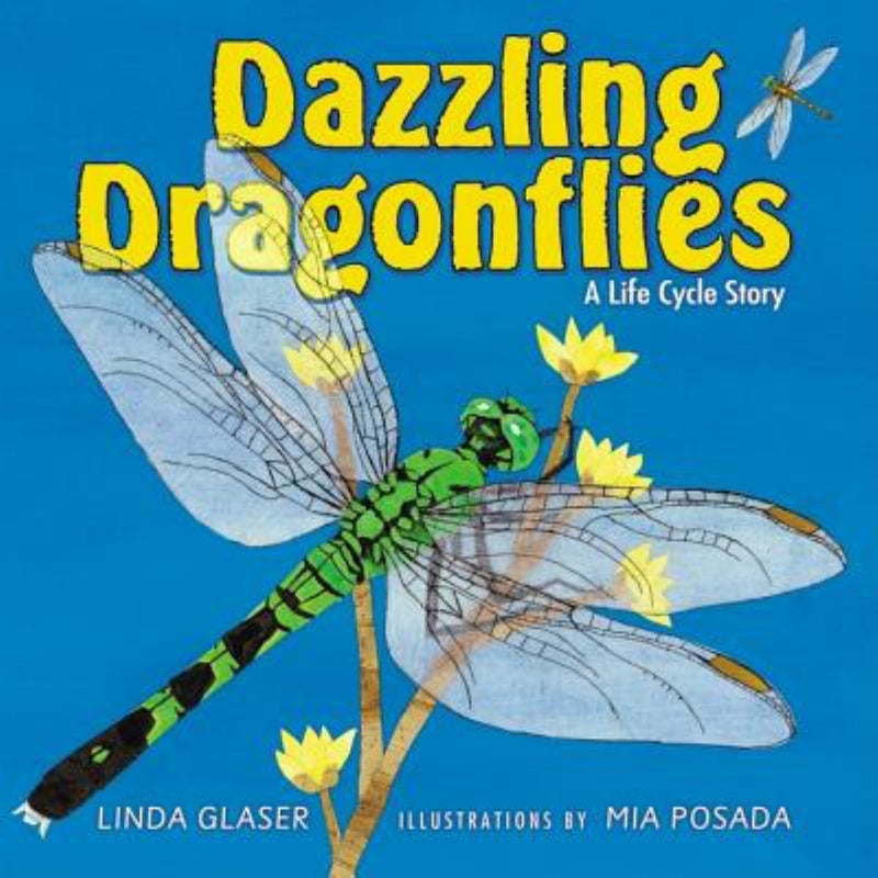 Dazzling Dragonflies