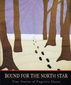 Bound for the North Star