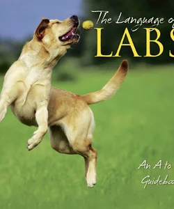 The Language of Labs