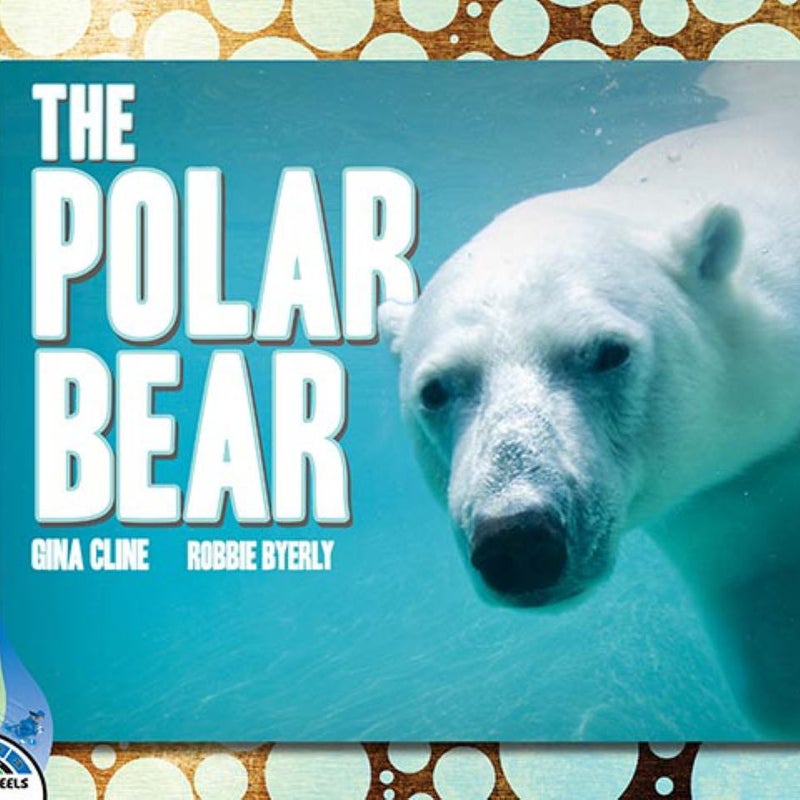 The Polar Bear