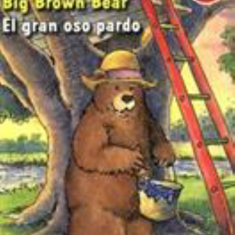 El Gran Oso Pardo/Big Brown Bear