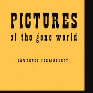 Pictures of the Gone World