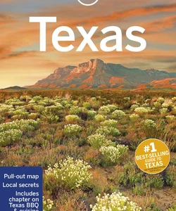 Lonely Planet Texas 5