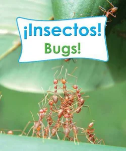 Insectos! (Bugs!)