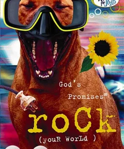 God's Promises Rock