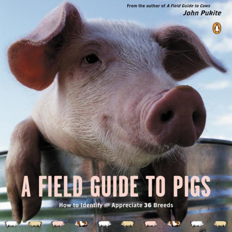 A Field Guide to Pigs