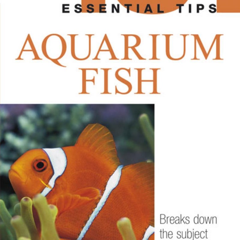 Aquarium Fish