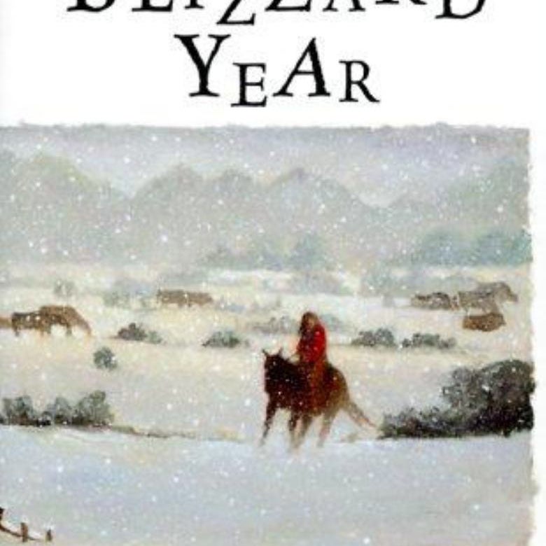 A Blizzard Year