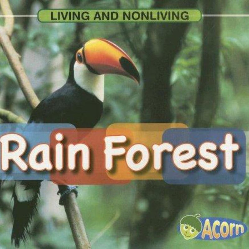 Rain Forest