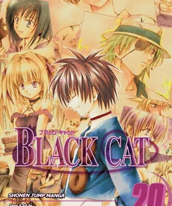 Black Cat, Vol. 20