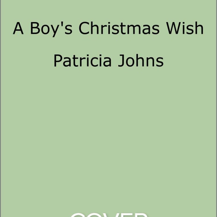 A Boy's Christmas Wish