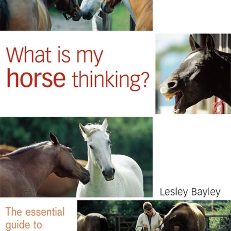 What Is My Horse Thinking?
