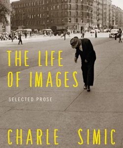 The Life of Images