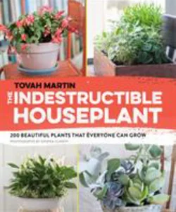 The Indestructible Houseplant