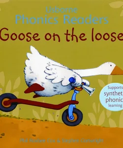 Goose on the Loose Phonics Readers