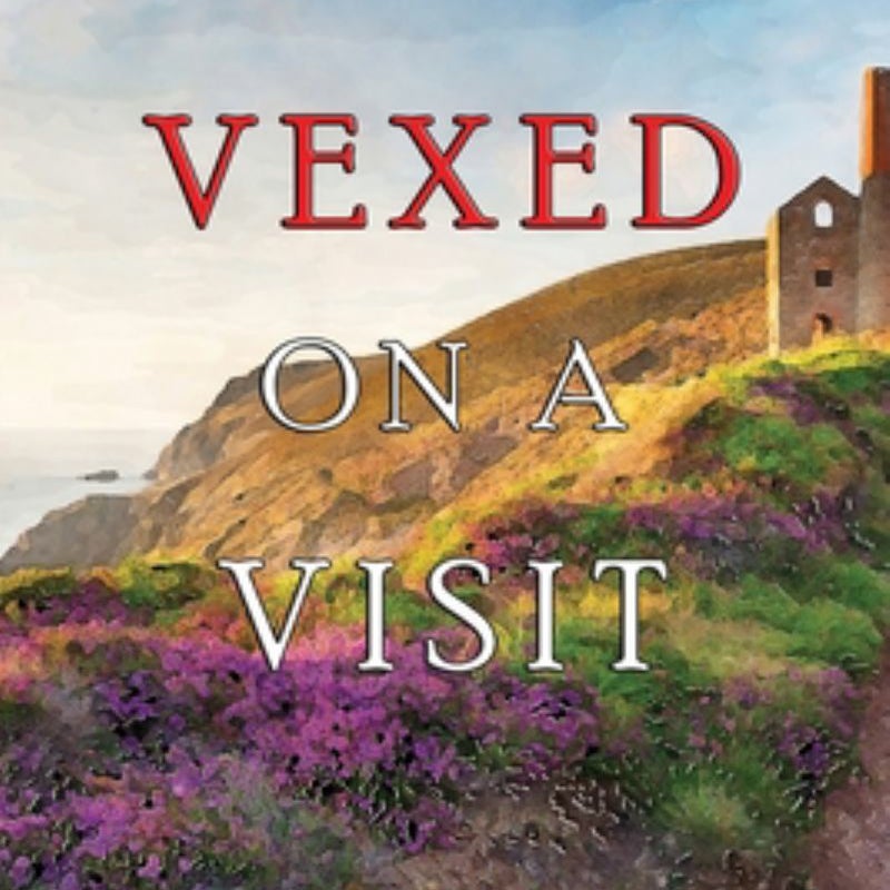 Vexed on a Visit (a Lacey Doyle Cozy Mystery-Book 4)