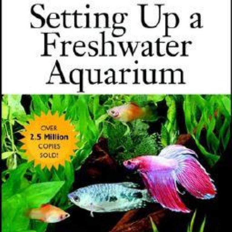 Setting up a Freshwater Aquarium