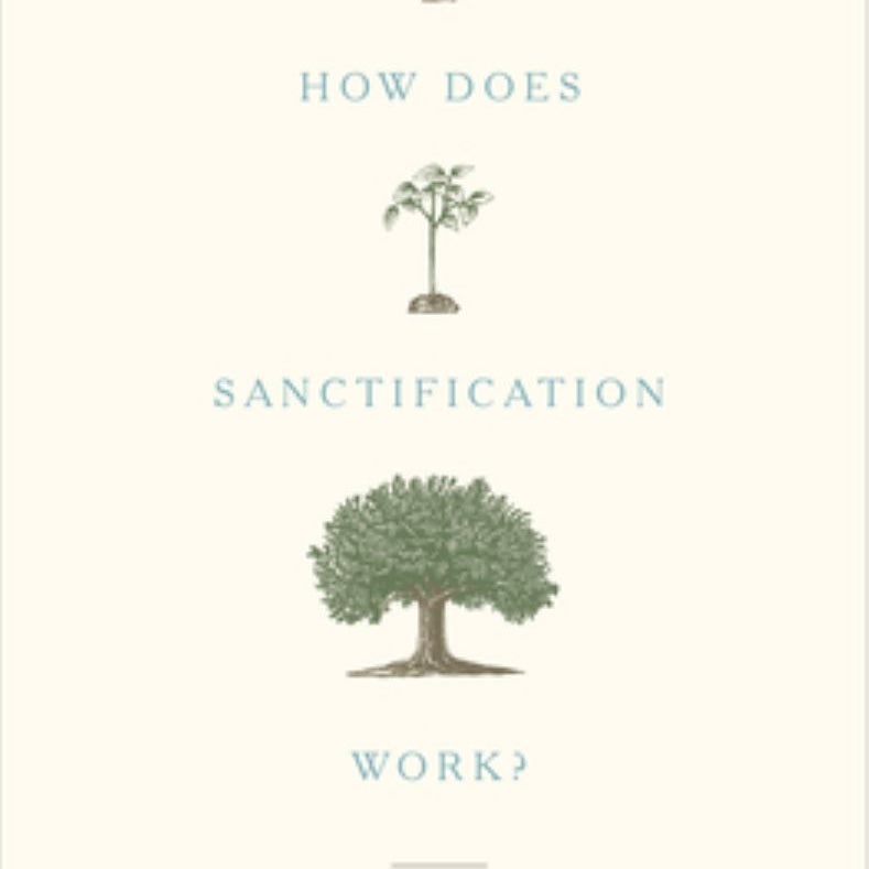 How Does Sanctification Work?