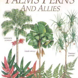 Key Guide to Palms, Ferns and Allies