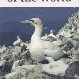 Seabirds of the World