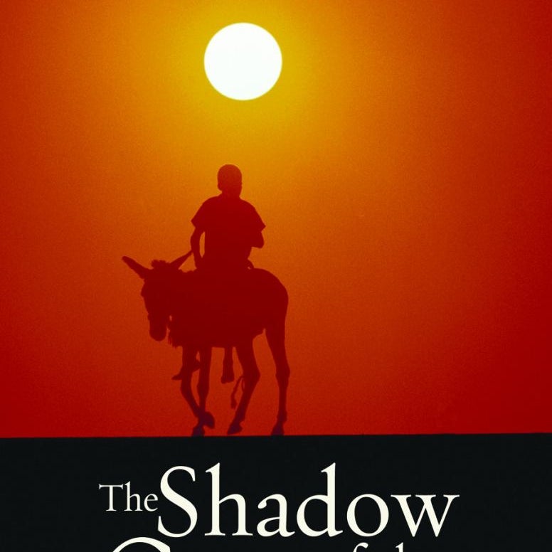 The Shadow of the Galilean