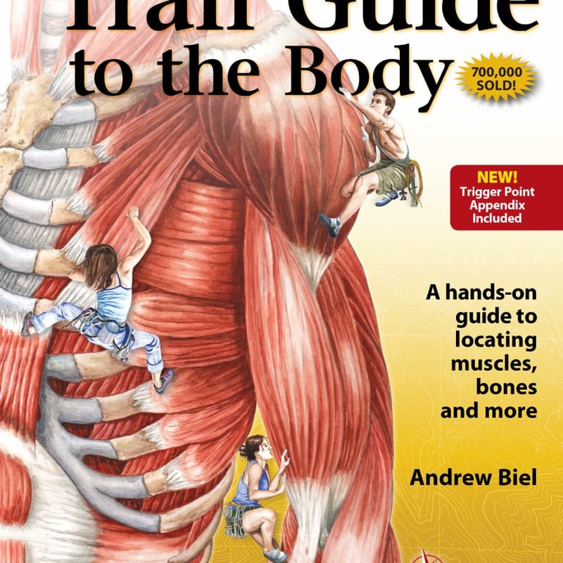Trail Guide to the Body 5e Flashcards, Volume 1 by Andrew Biel | Pangobooks