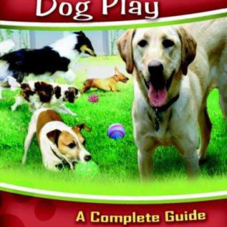 Off-Leash Dog Play