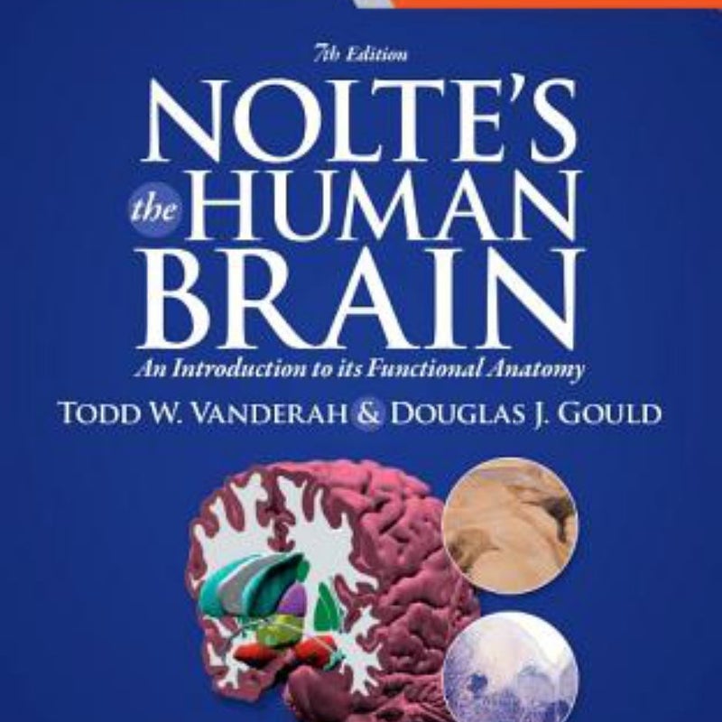 Nolte's the Human Brain